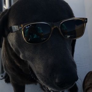 Meet your Posher, Brett